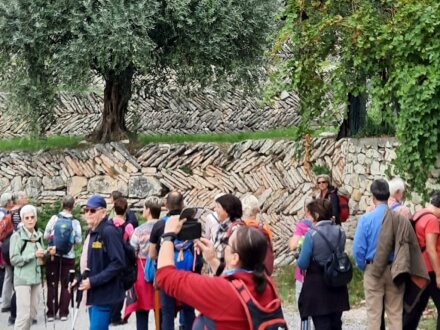 Participants during Valpolicella wine walking tour