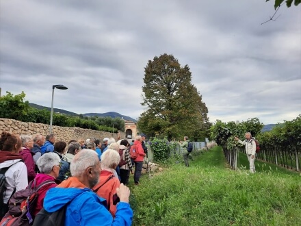 Patrizia Marazzi talking during Valpolicella wine walking tour